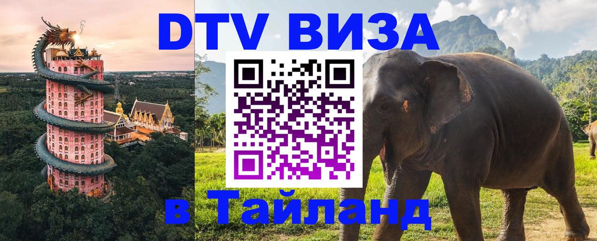 Оформление DTV визы под ключ: стоимость и тарифы, только загранпаспорт - 06.12.2025 